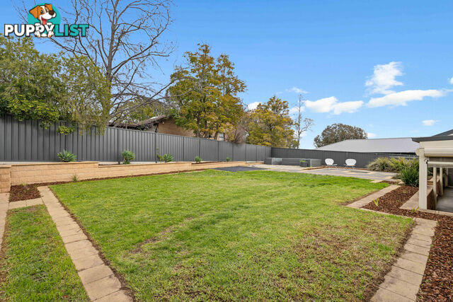 15 Albion Street RIDGEHAVEN SA 5097