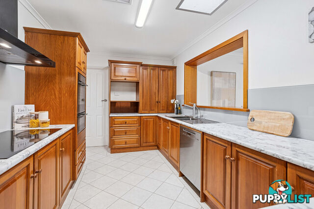 15 Albion Street RIDGEHAVEN SA 5097