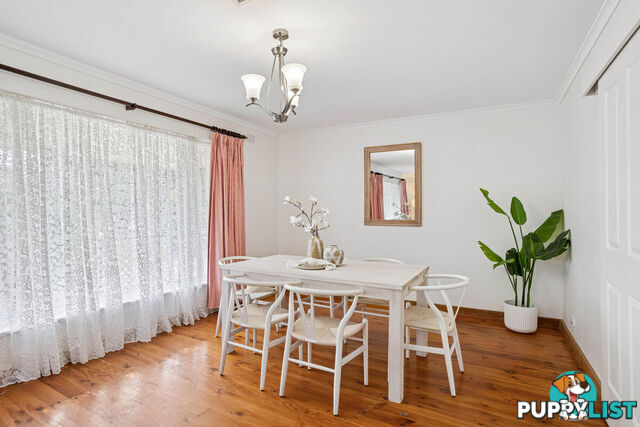 15 Albion Street RIDGEHAVEN SA 5097