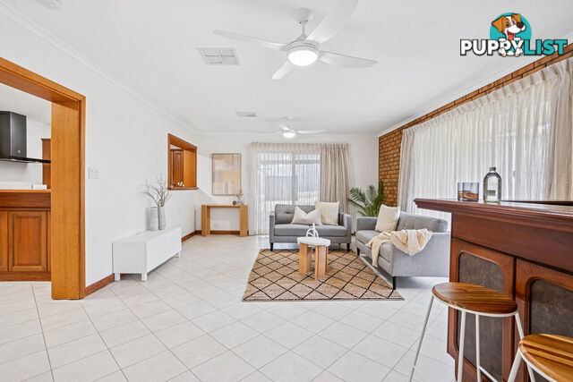 15 Albion Street RIDGEHAVEN SA 5097