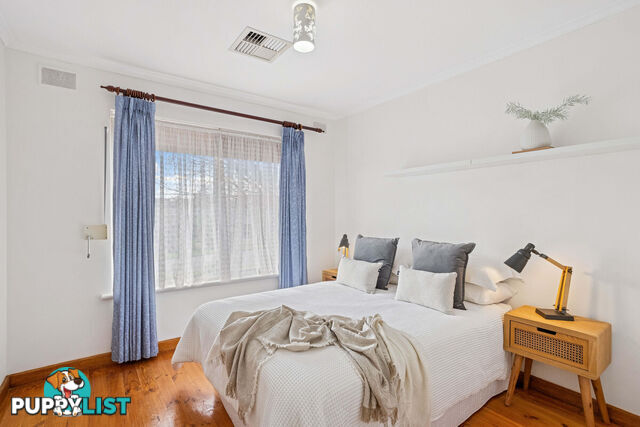 15 Albion Street RIDGEHAVEN SA 5097