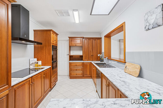 15 Albion Street RIDGEHAVEN SA 5097
