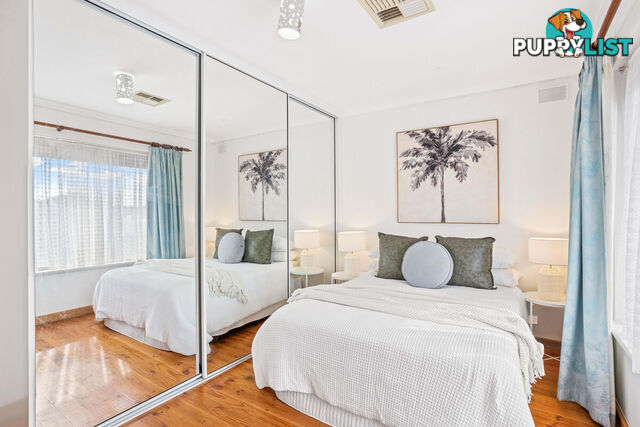 15 Albion Street RIDGEHAVEN SA 5097