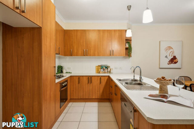 13A Toorak Drive BLAKEVIEW SA 5114