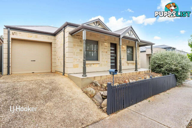 6 Adamson Street BLAKEVIEW SA 5114