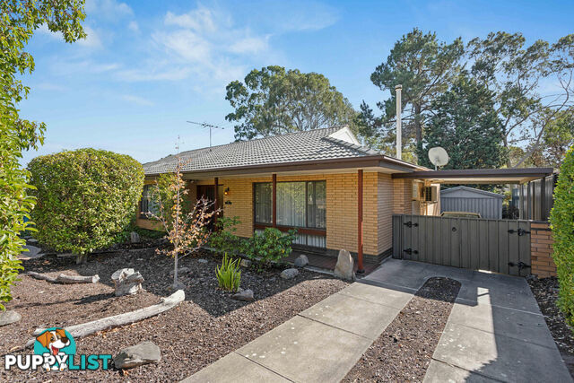 56 Waitara Road BANKSIA PARK SA 5091