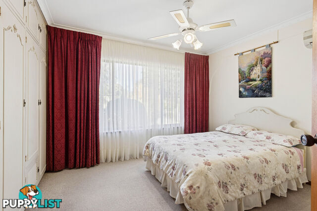 56 Waitara Road BANKSIA PARK SA 5091
