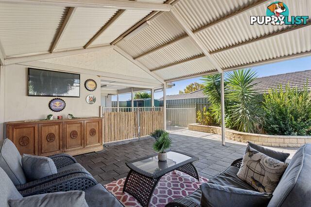 9 Palamountain Avenue GREENWITH SA 5125
