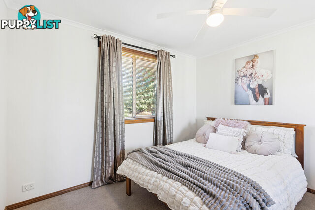 9 Palamountain Avenue GREENWITH SA 5125