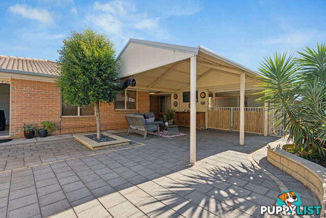 9 Palamountain Avenue GREENWITH SA 5125