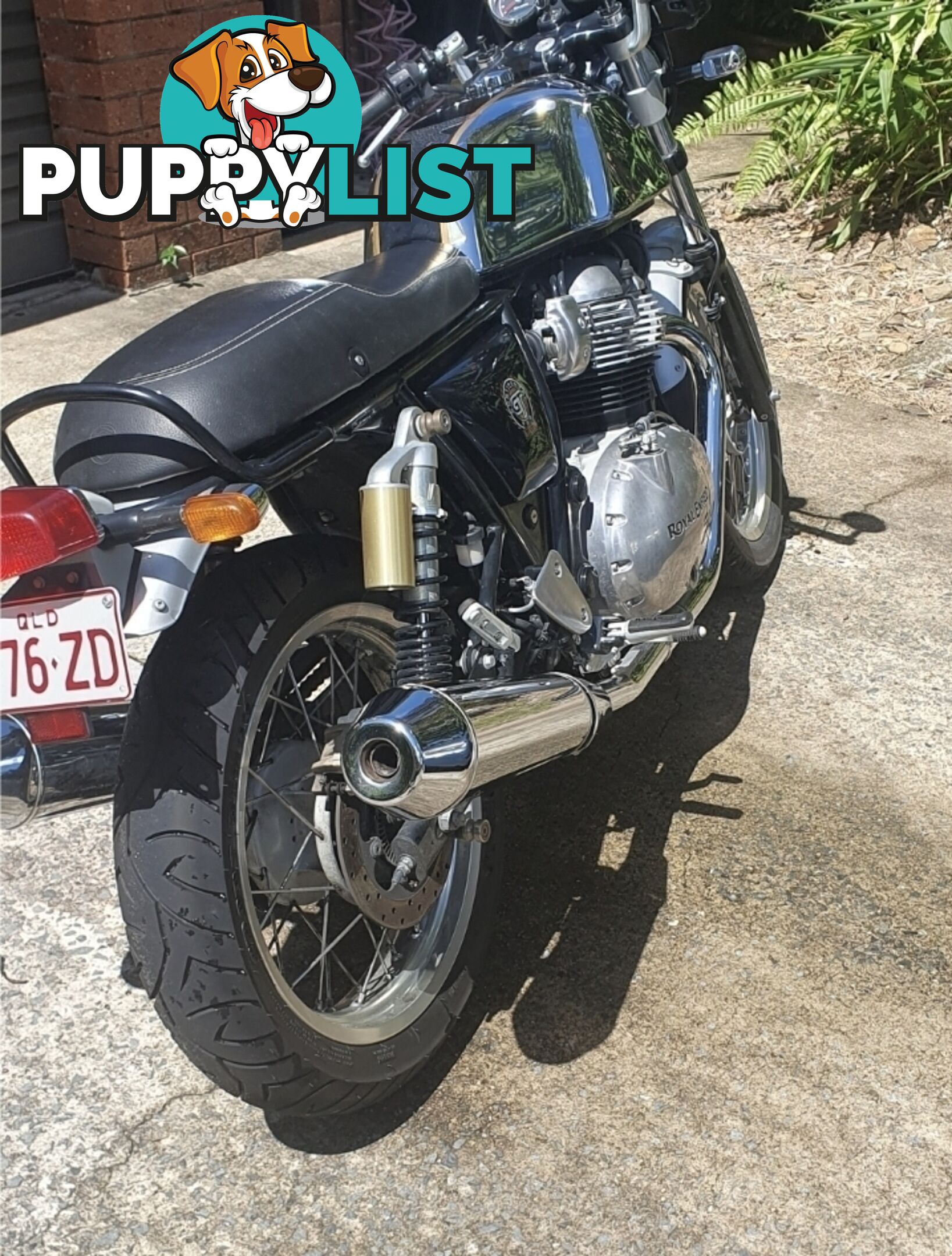 2020 Royal Enfield Continental GT 650 Chrome