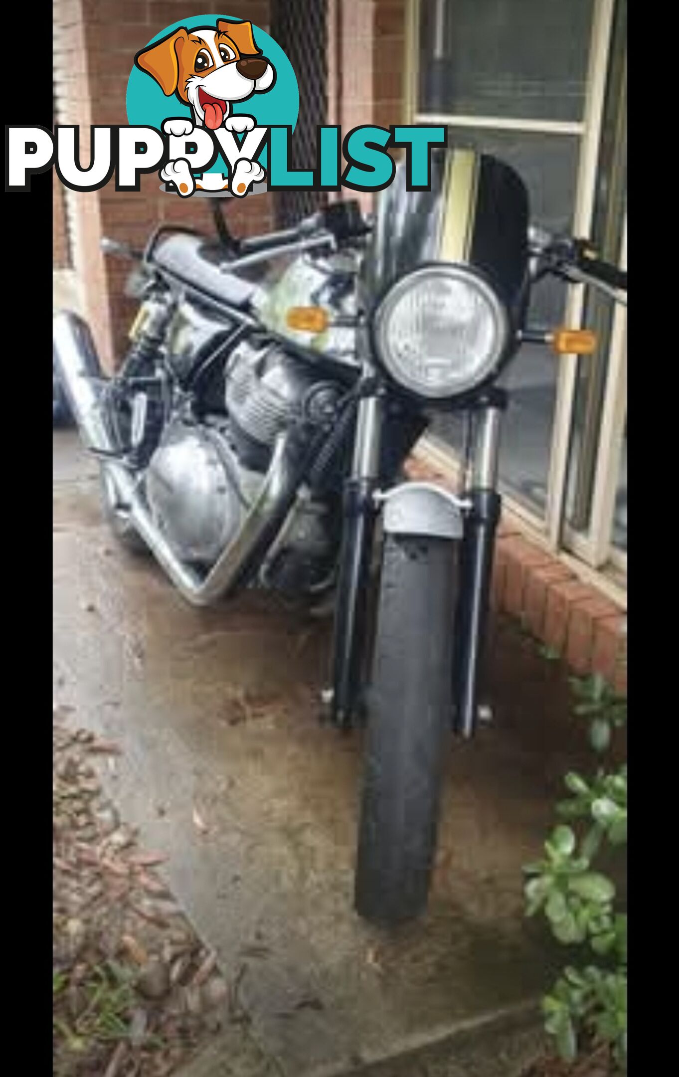 2020 Royal Enfield Continental GT 650 Chrome