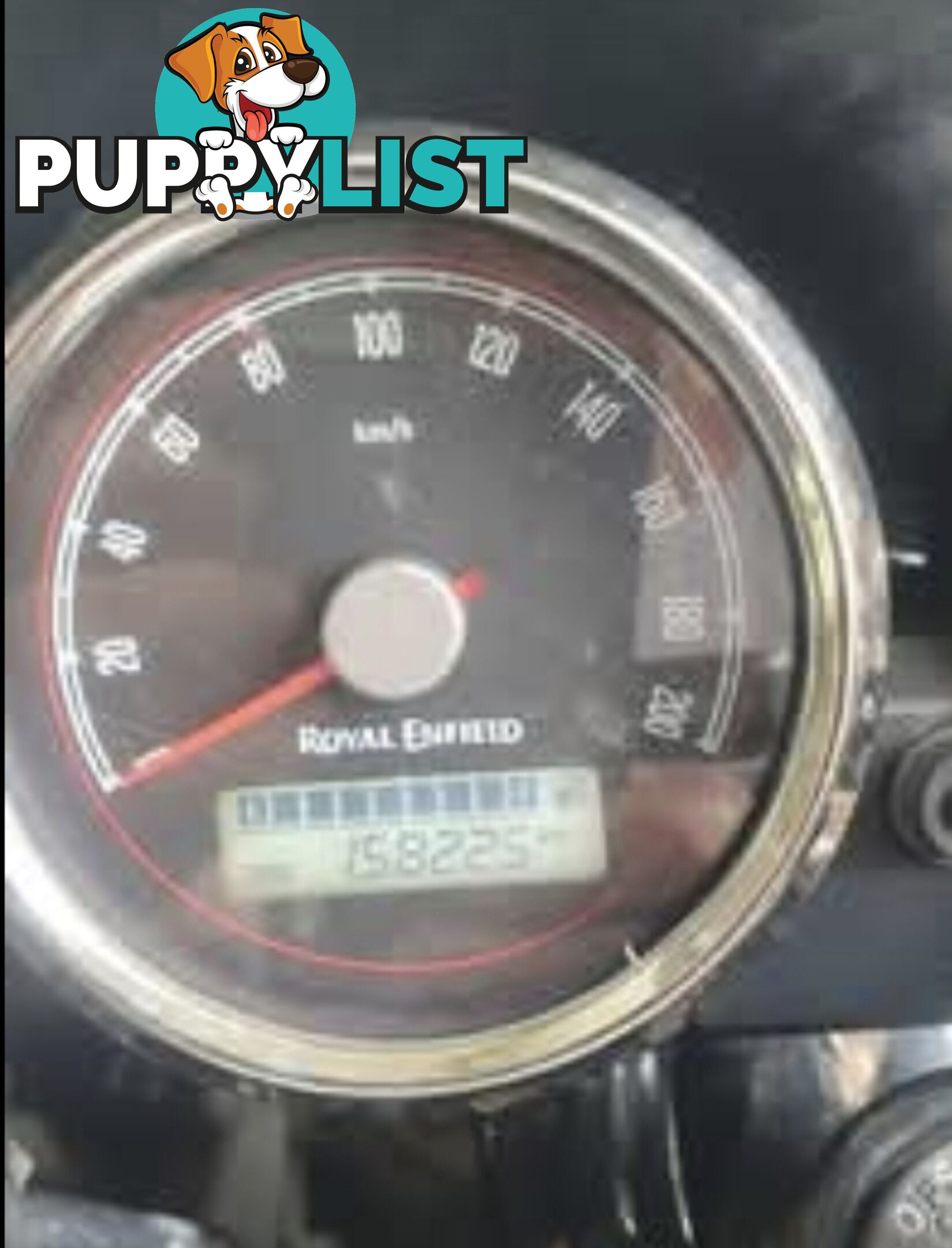 2020 Royal Enfield Continental GT 650 Chrome
