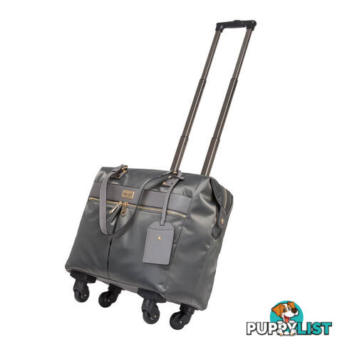 ARUBA Grey Travel Bag