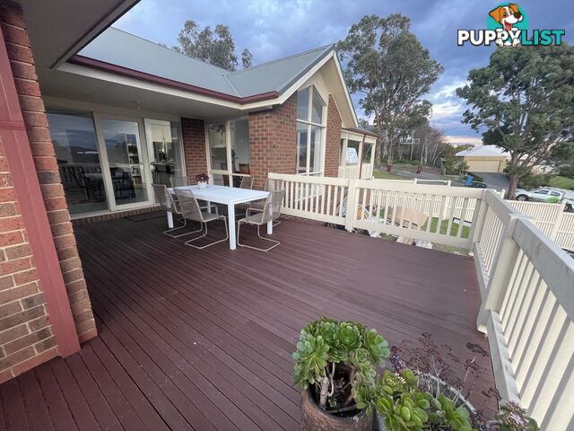 Merbau deck boards 70mm with nails