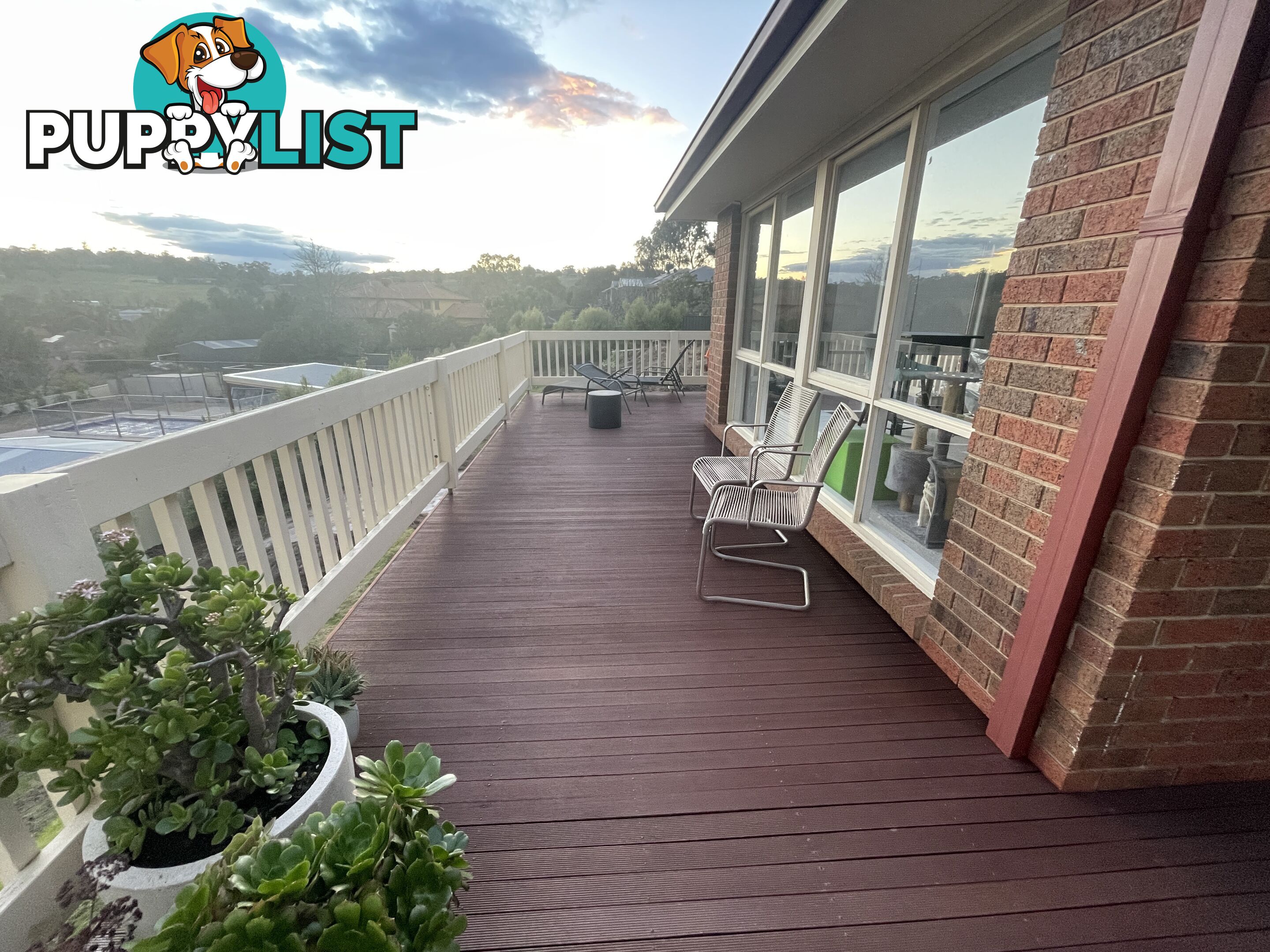 Merbau deck boards 70mm with nails