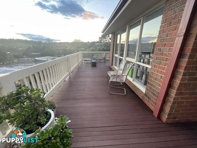 Merbau deck boards 70mm with nails