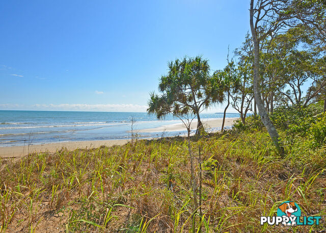 25 Nautilus Court DUNDOWRAN BEACH QLD 4655