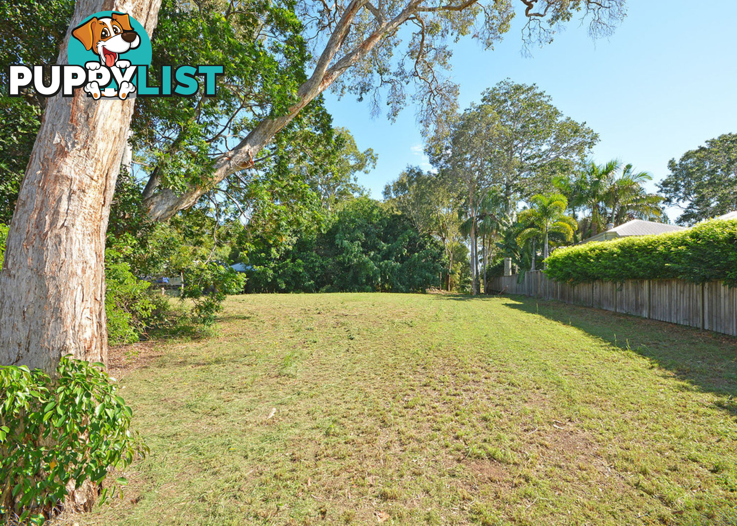 25 Nautilus Court DUNDOWRAN BEACH QLD 4655