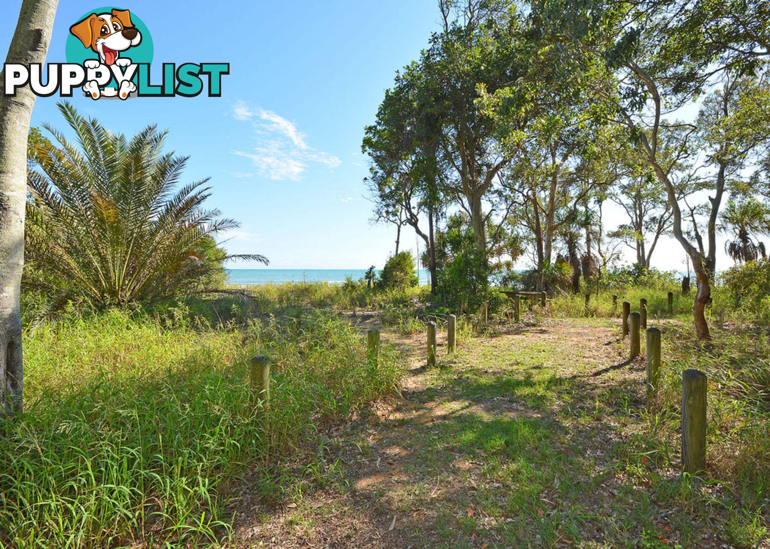 25 Nautilus Court DUNDOWRAN BEACH QLD 4655