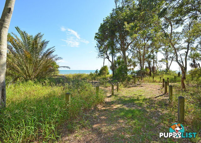 25 Nautilus Court DUNDOWRAN BEACH QLD 4655