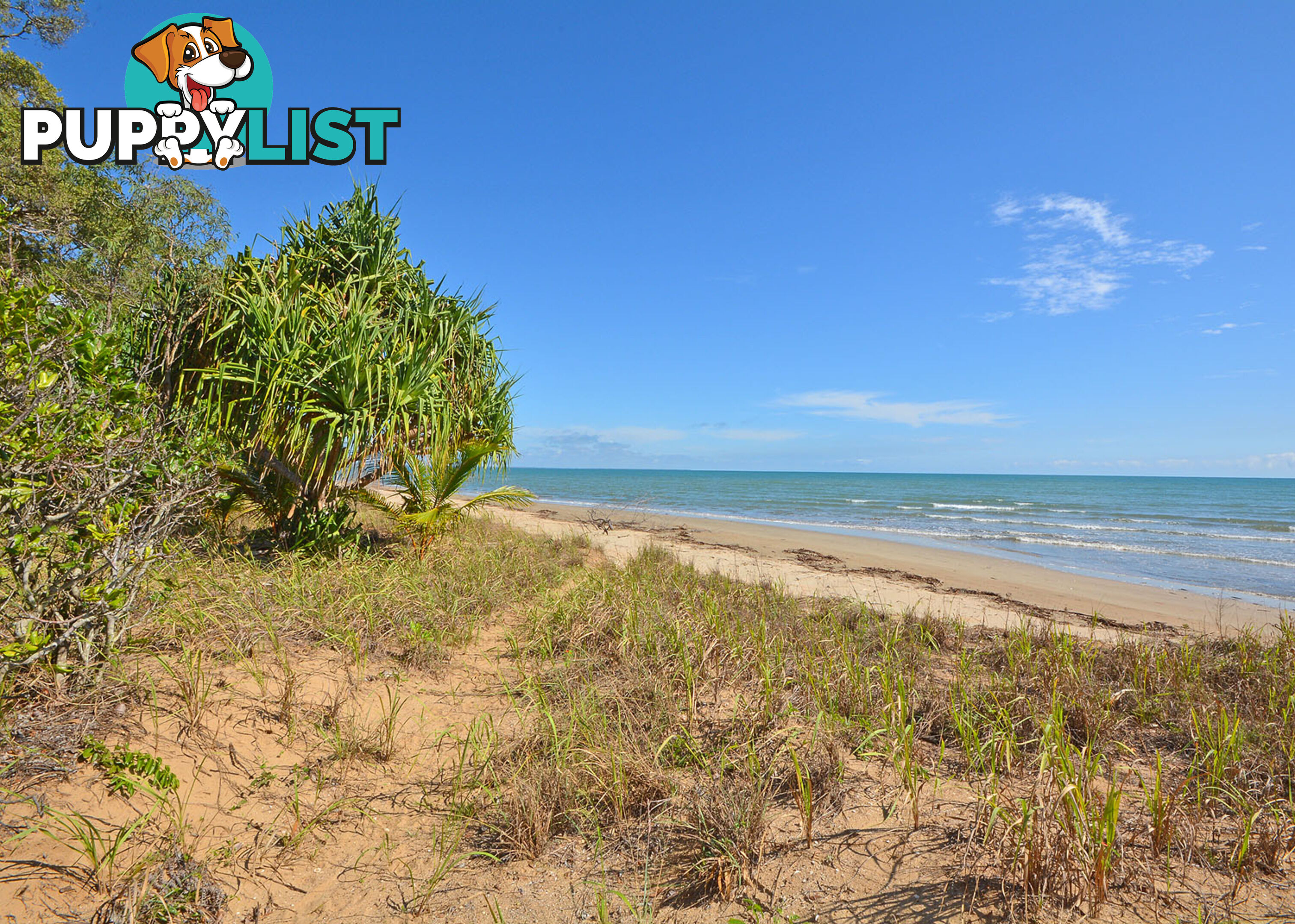 25 Nautilus Court DUNDOWRAN BEACH QLD 4655