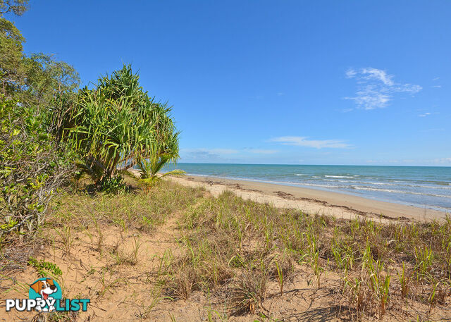 25 Nautilus Court DUNDOWRAN BEACH QLD 4655