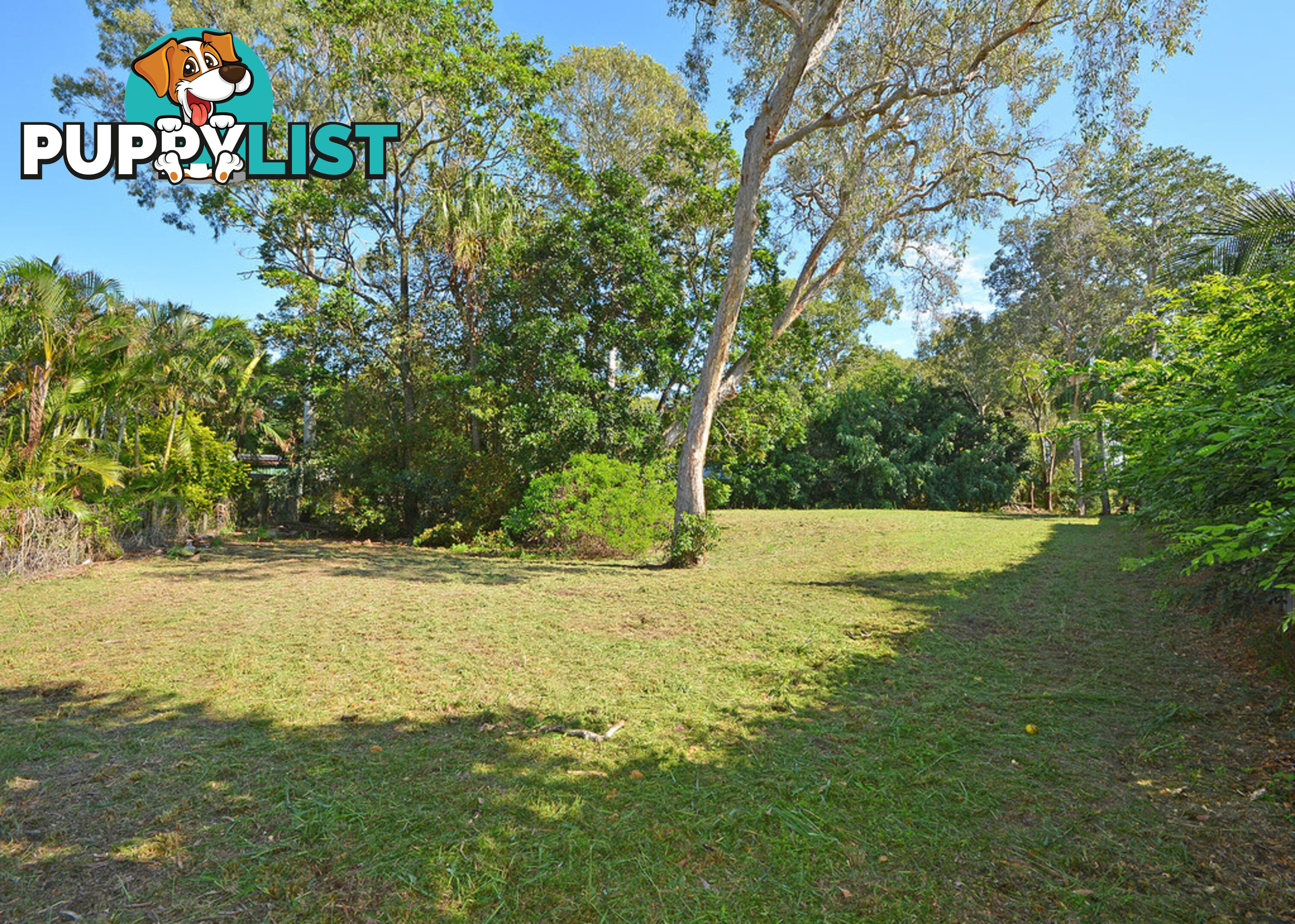 25 Nautilus Court DUNDOWRAN BEACH QLD 4655