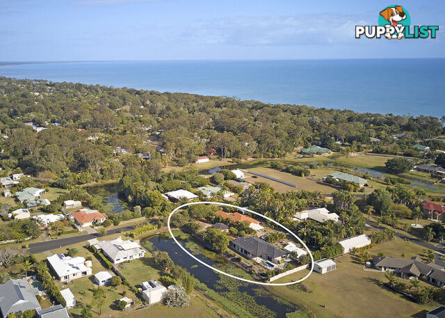 5 Pandanus Drive DUNDOWRAN BEACH QLD 4655