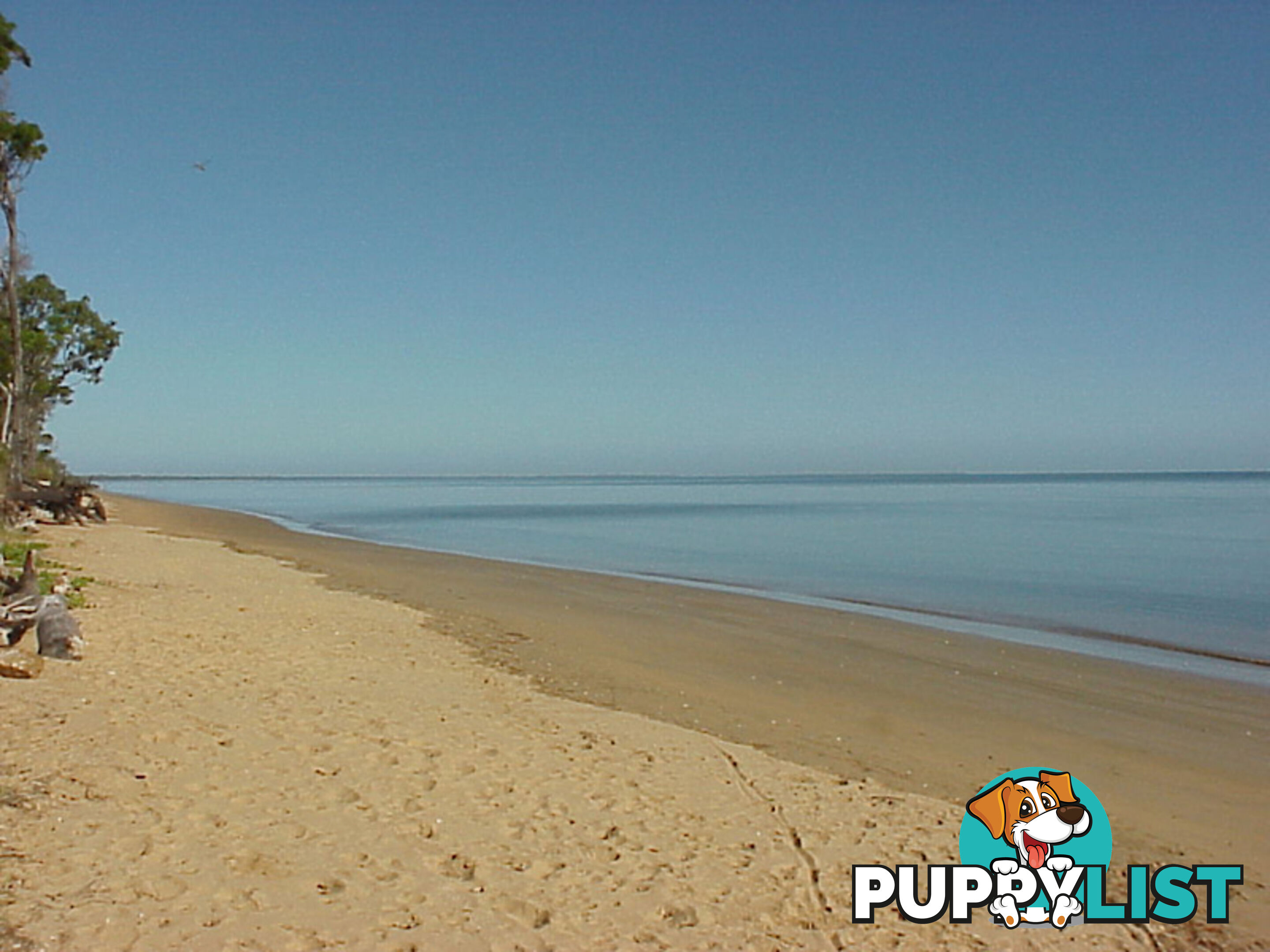 DUNDOWRAN BEACH QLD 4655