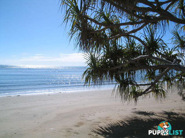 DUNDOWRAN BEACH QLD 4655