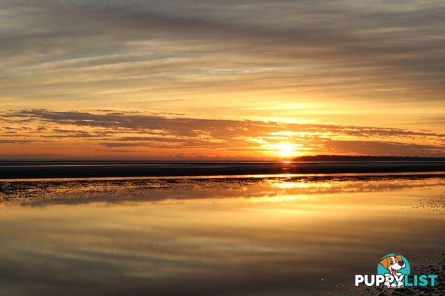 DUNDOWRAN BEACH QLD 4655