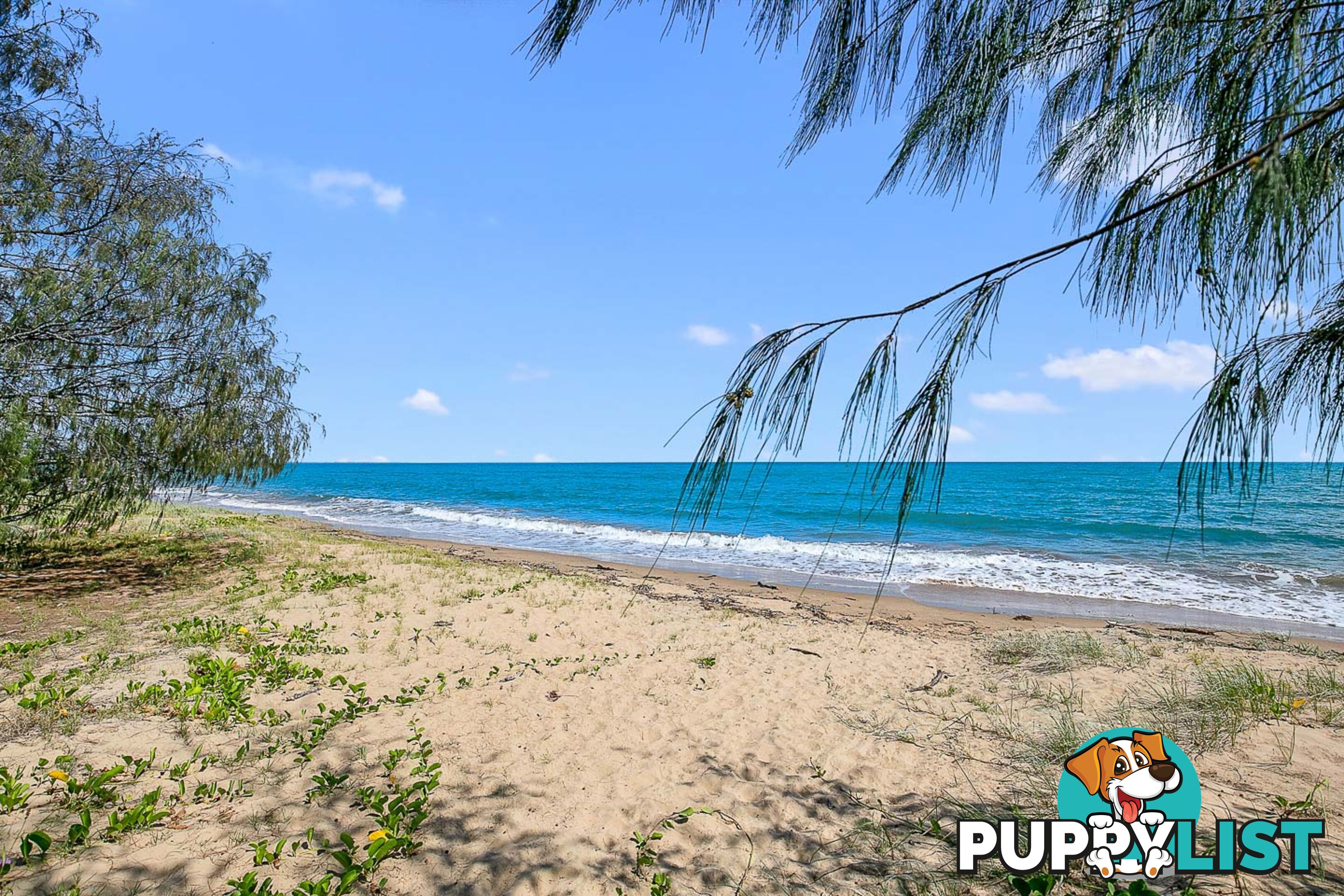 19 Azure Court DUNDOWRAN BEACH QLD 4655