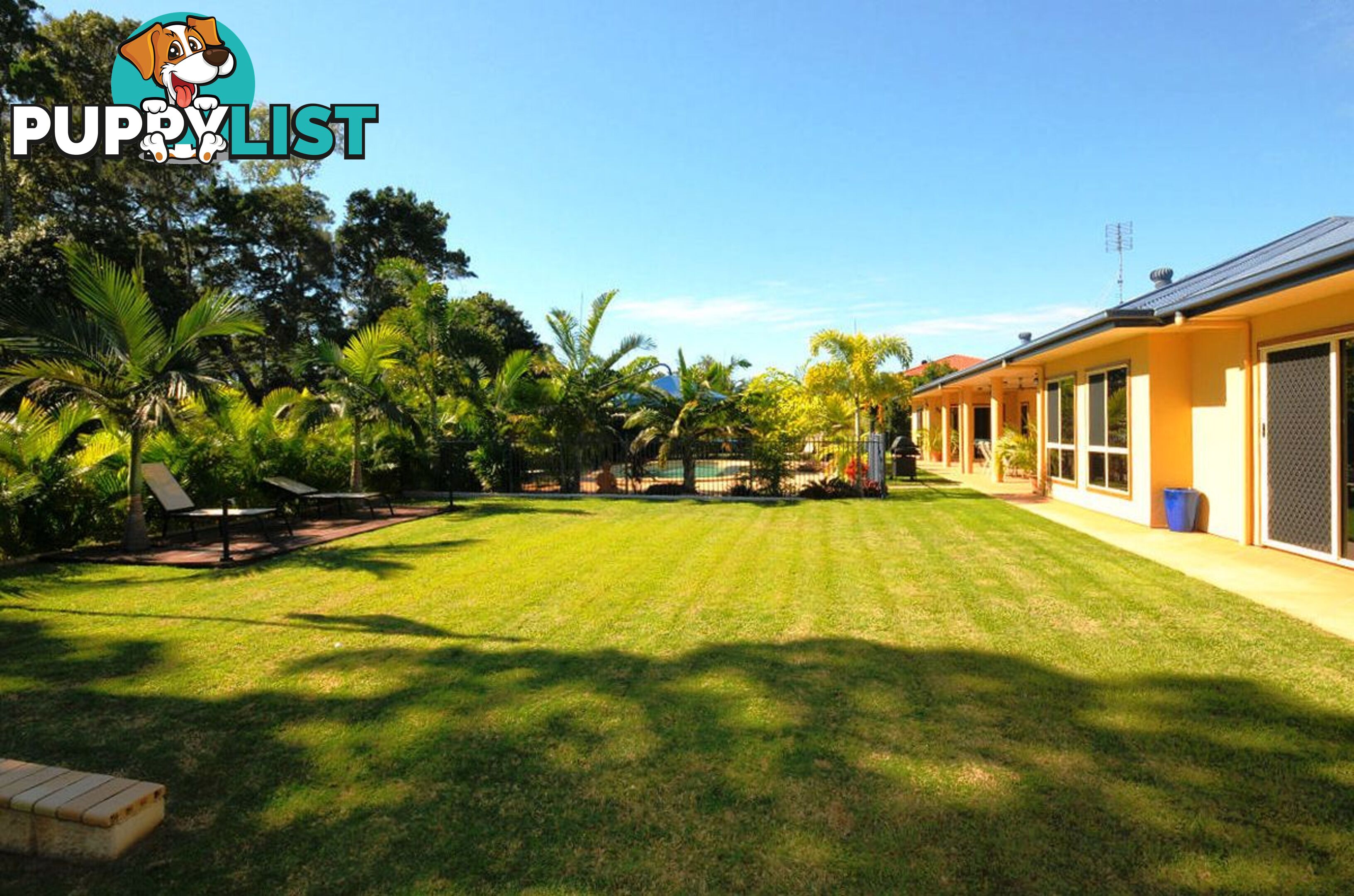 15 Caryota Court DUNDOWRAN BEACH QLD 4655