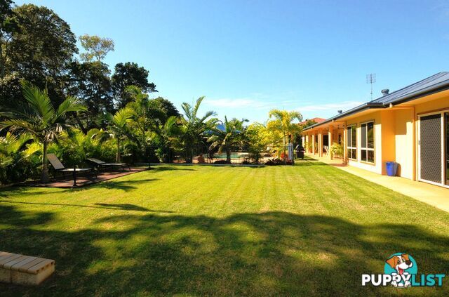 15 Caryota Court DUNDOWRAN BEACH QLD 4655