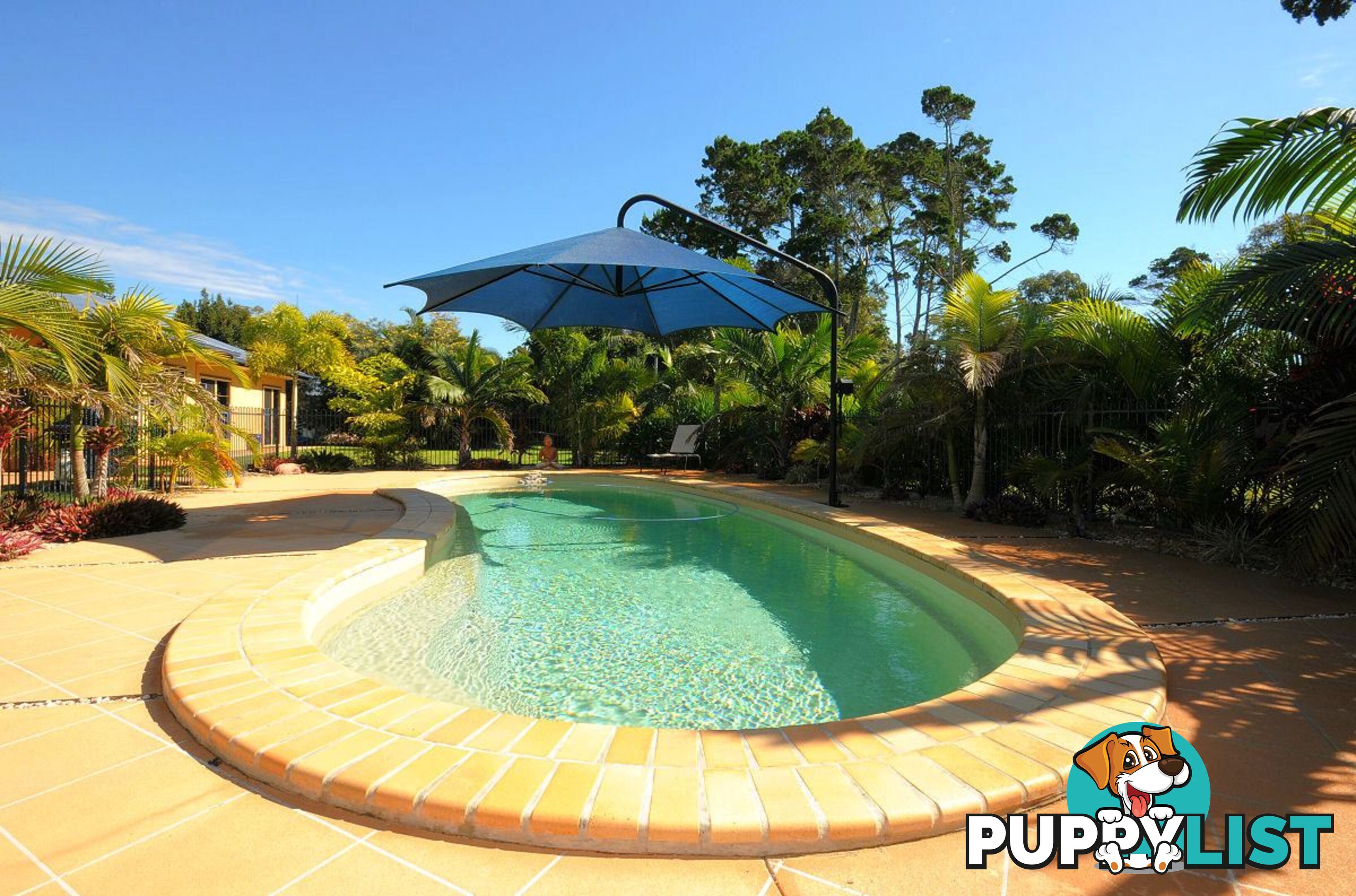 15 Caryota Court DUNDOWRAN BEACH QLD 4655