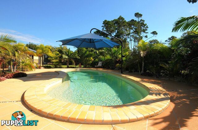 15 Caryota Court DUNDOWRAN BEACH QLD 4655