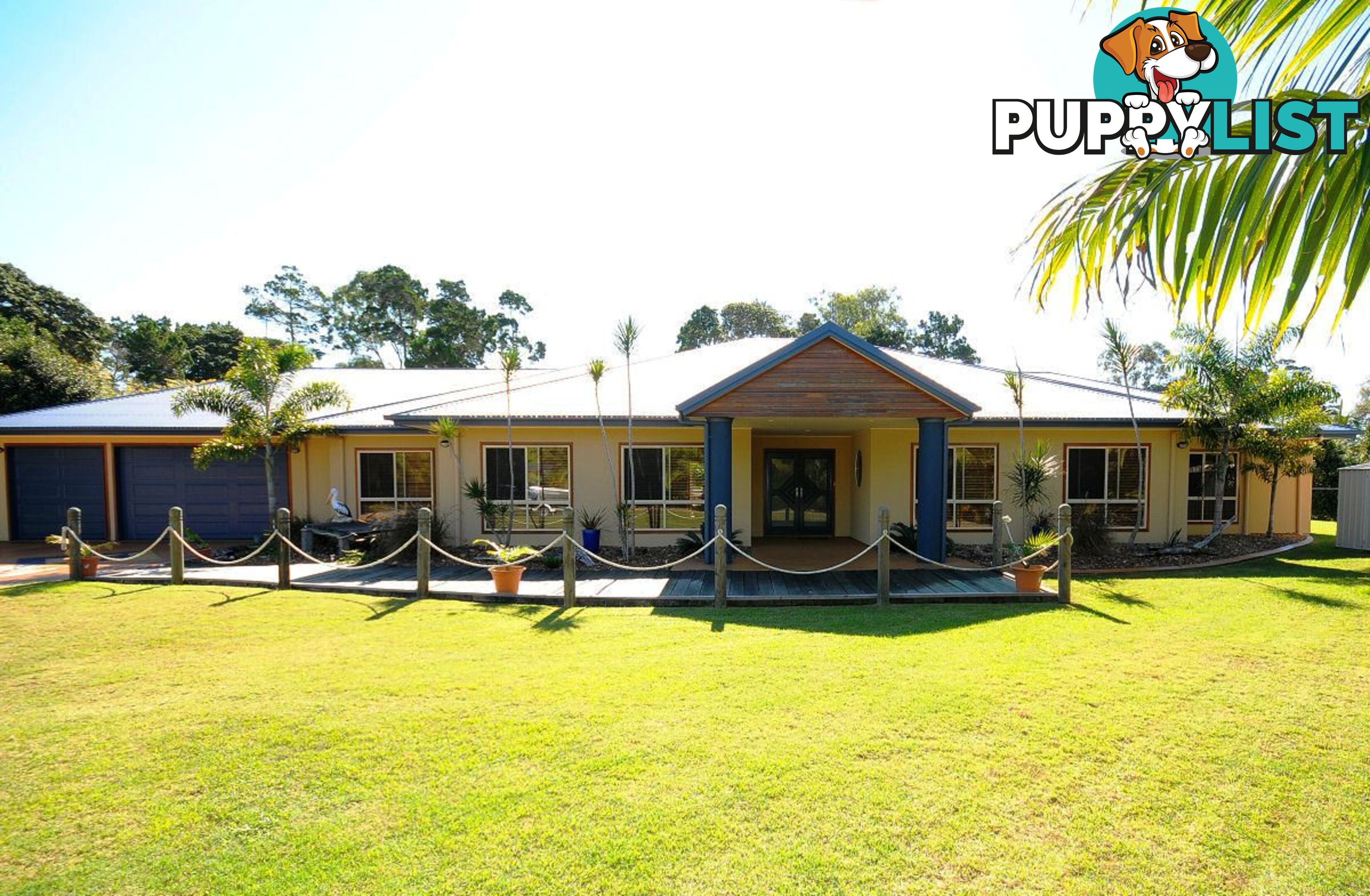 15 Caryota Court DUNDOWRAN BEACH QLD 4655