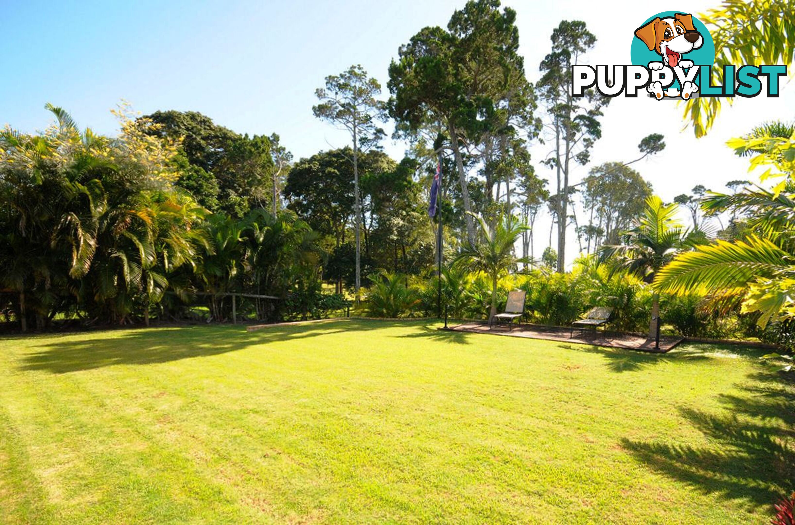 15 Caryota Court DUNDOWRAN BEACH QLD 4655