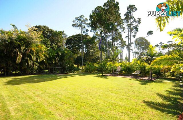 15 Caryota Court DUNDOWRAN BEACH QLD 4655