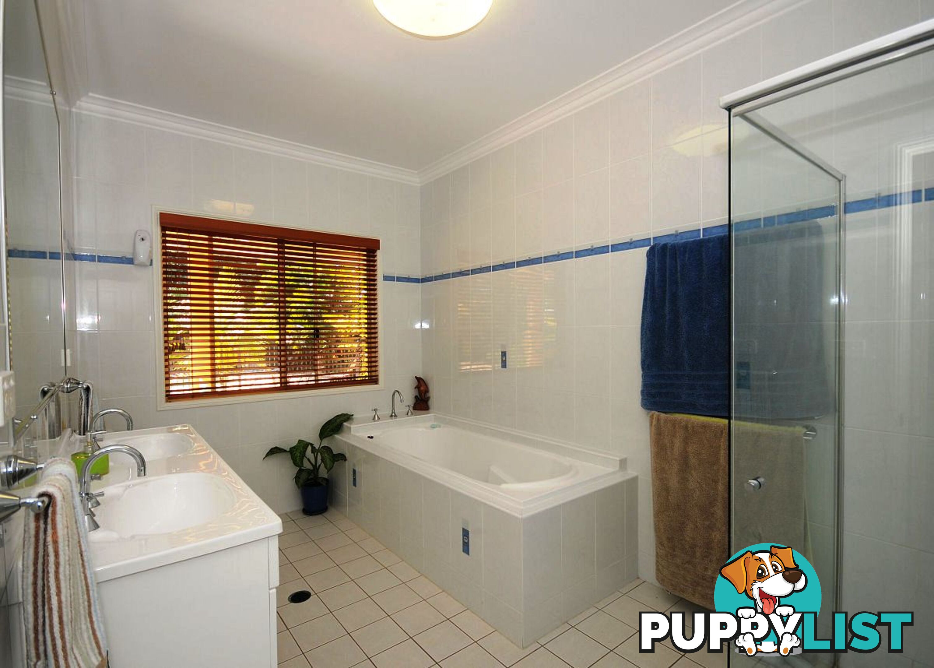 15 Caryota Court DUNDOWRAN BEACH QLD 4655