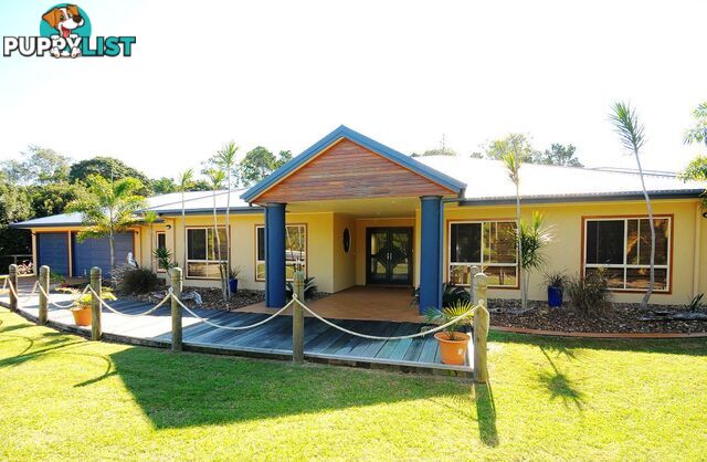 15 Caryota Court DUNDOWRAN BEACH QLD 4655