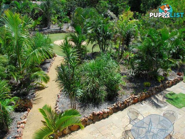 40 Pandanus Drive DUNDOWRAN BEACH QLD 4655