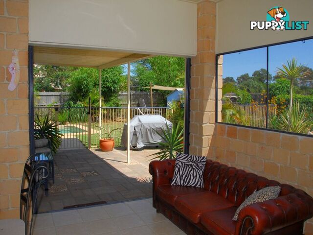 40 Pandanus Drive DUNDOWRAN BEACH QLD 4655