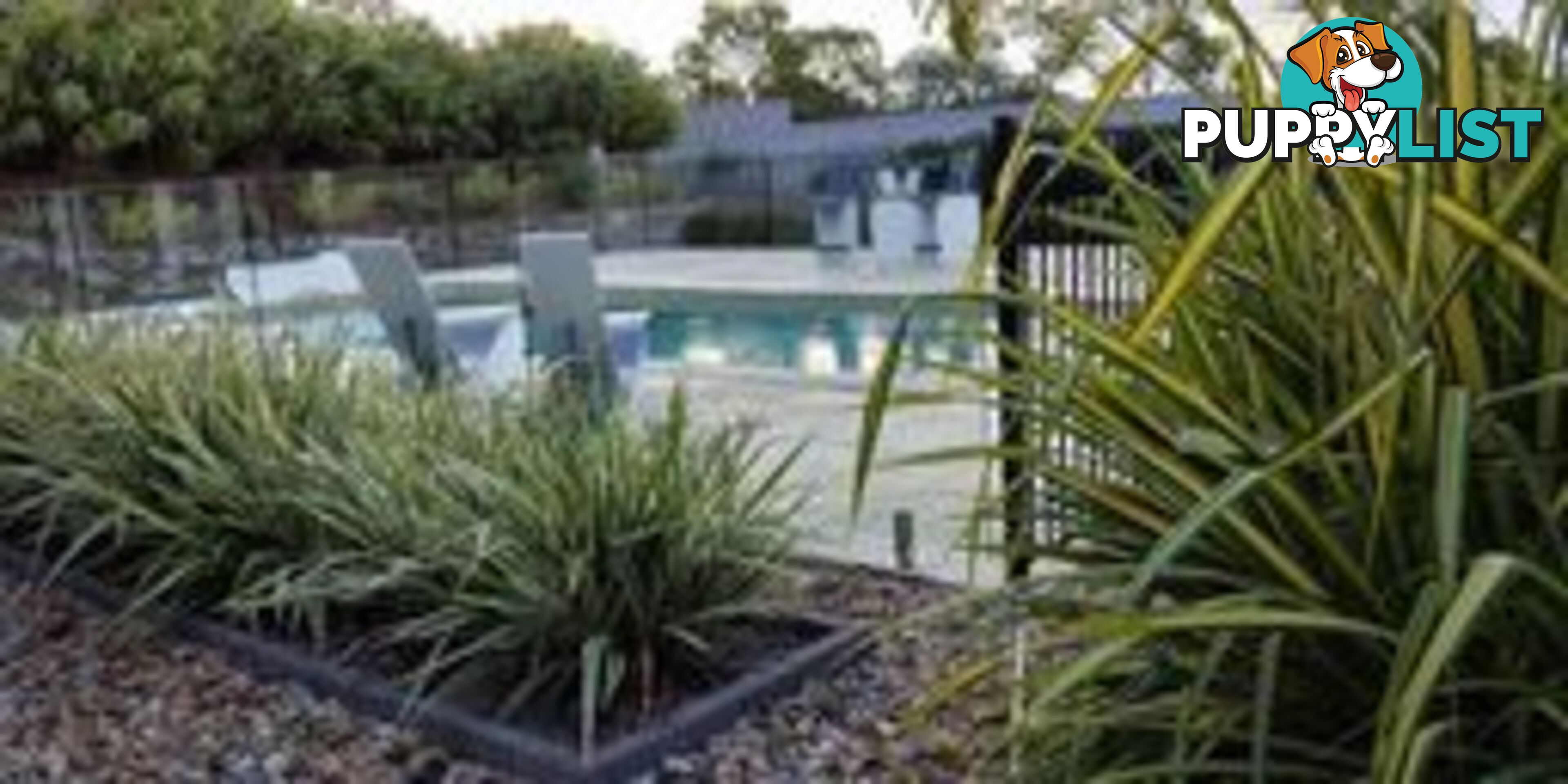 16 Azure Court DUNDOWRAN BEACH QLD 4655