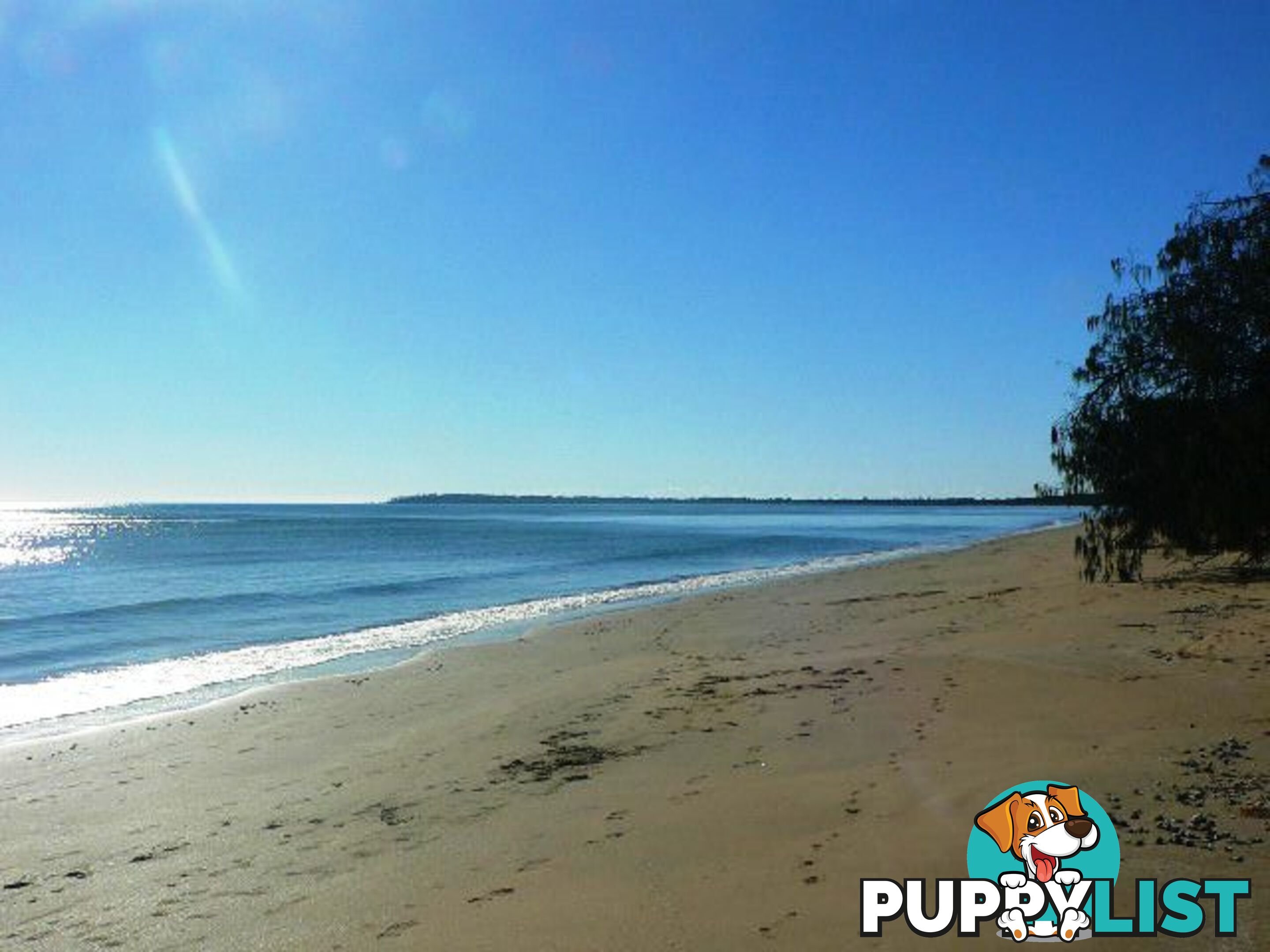 25 OceanPark Drive DUNDOWRAN BEACH QLD 4655