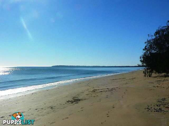 25 OceanPark Drive DUNDOWRAN BEACH QLD 4655