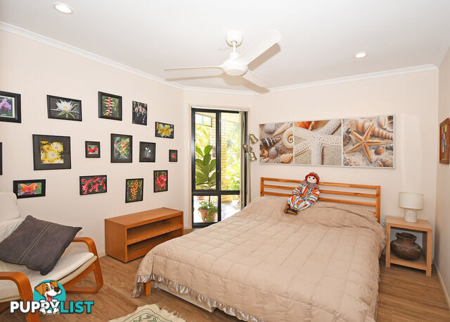 17 Meadow Drive DUNDOWRAN BEACH QLD 4655