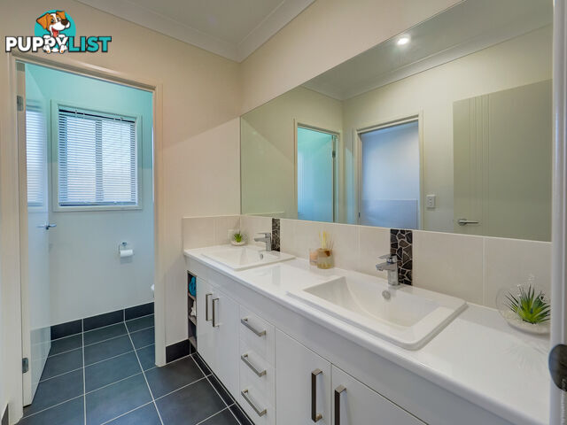 5 Stocks Road DUNDOWRAN BEACH QLD 4655