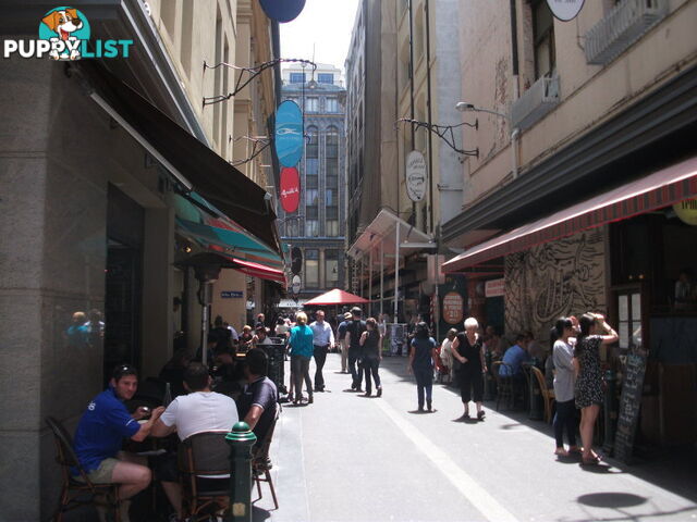 409 9 Degraves Street MELBOURNE VIC 3000